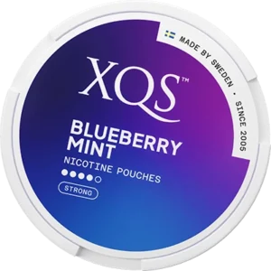 Xqs blueberry mint nicotine pouch can